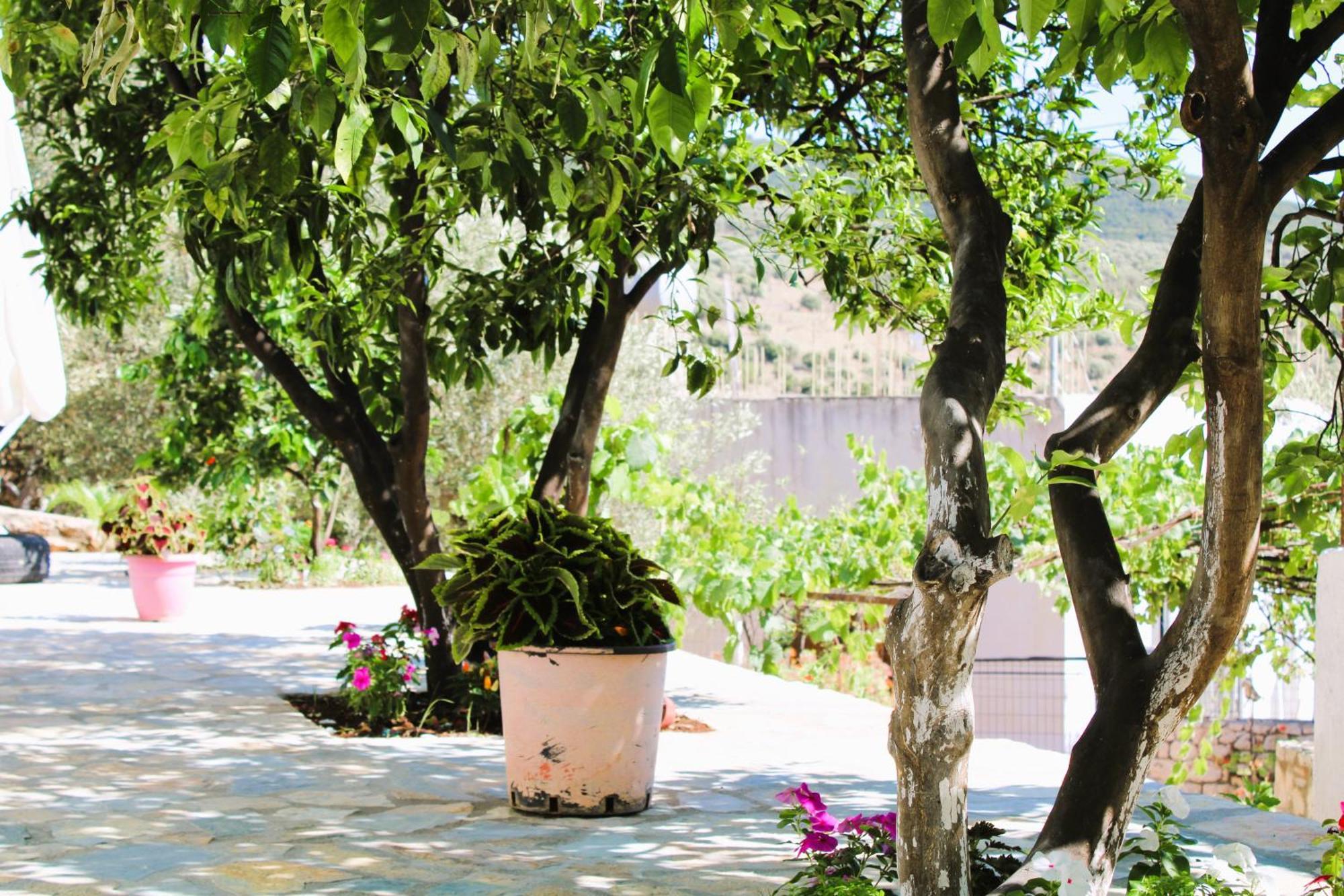 Keli Apartments كساميل المظهر الخارجي الصورة