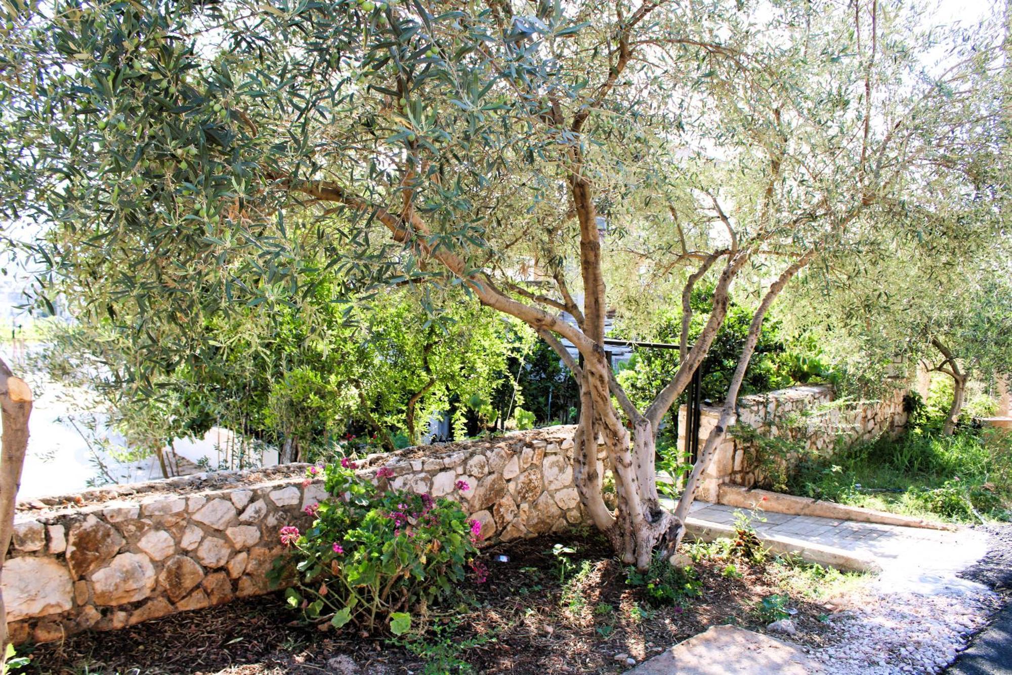Keli Apartments كساميل المظهر الخارجي الصورة
